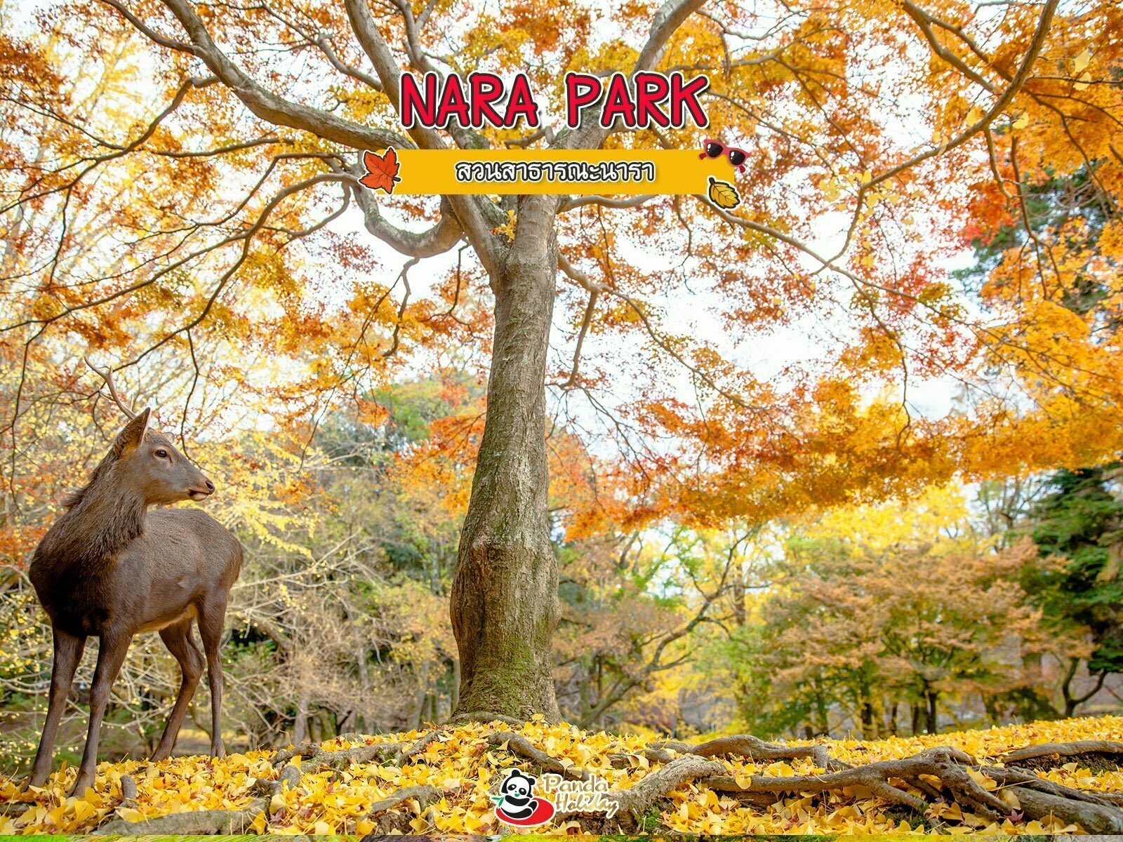 สวนสาธารณะนารา (Nara Park)