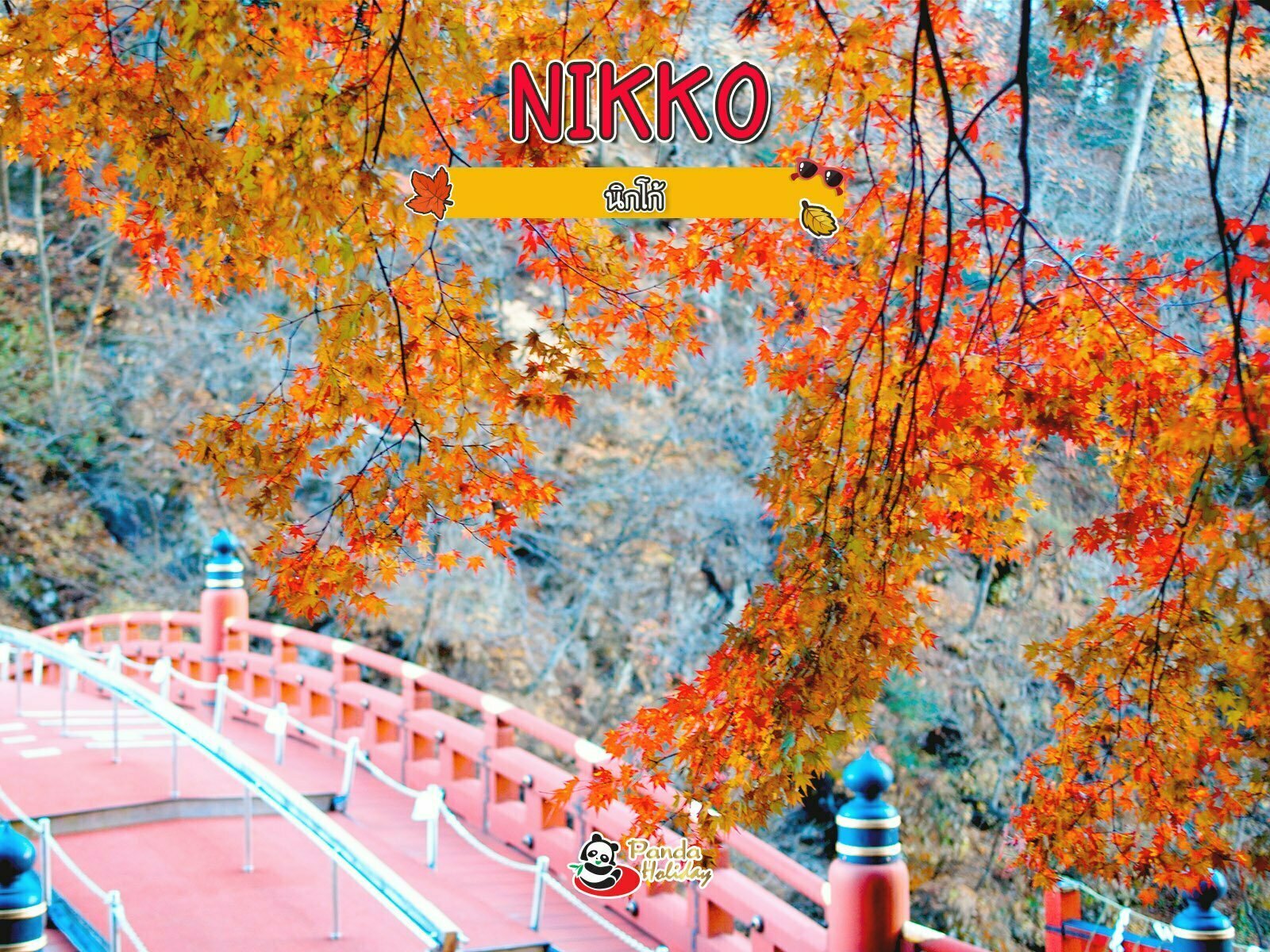 นิกโก้ (Nikko)