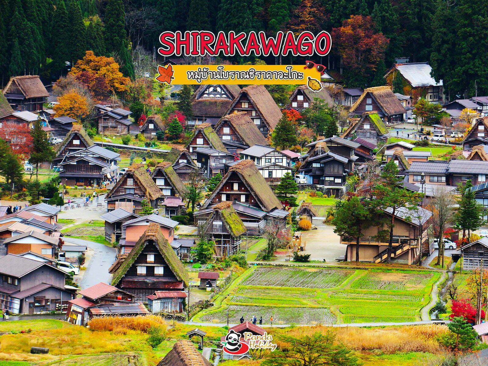 หมู่บ้านโบราณชิราคาวะโกะ ( shirakawago )