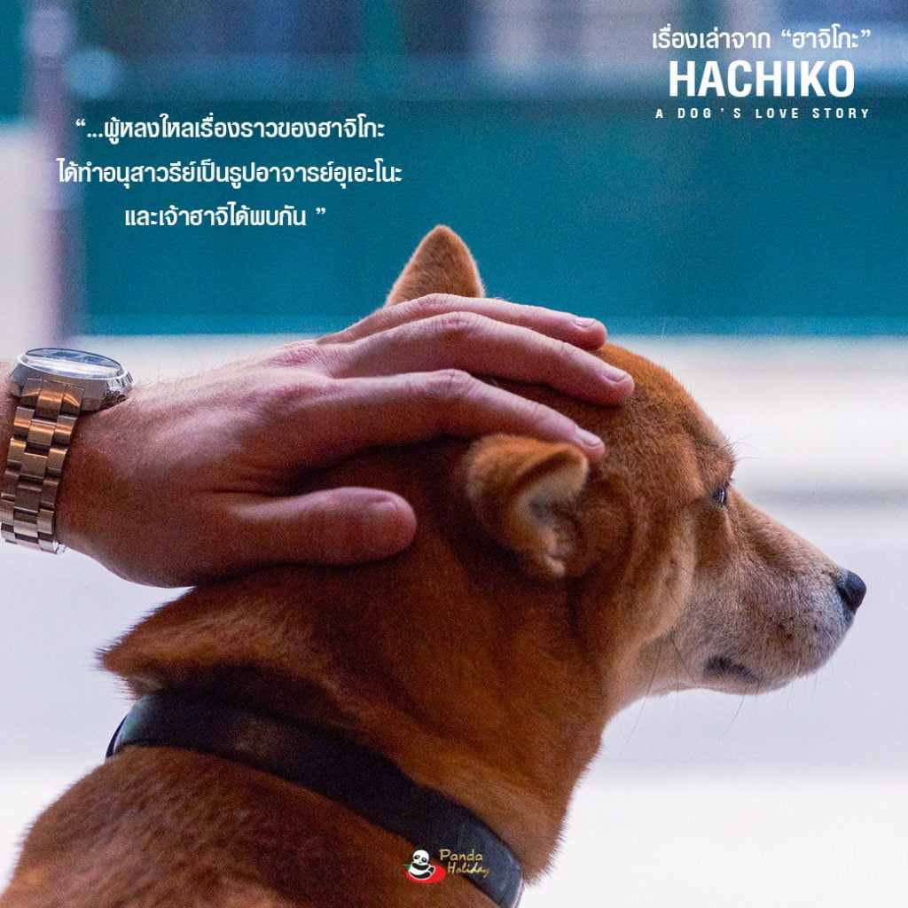 เรื่องเล่าจากฮาชิโกะ "สุนัขยอดกตัญญู ฮะชิโกะ