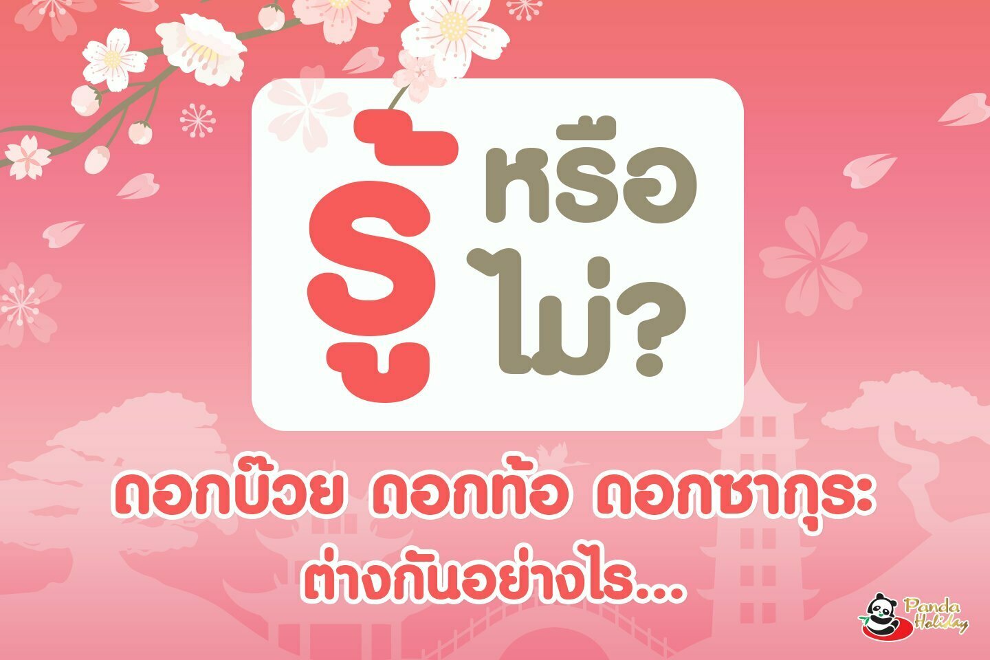 รู้หรือไม่? ดอกบ๊วย ดอกท้อ ดอกซากุระ ต่างกันอย่างไร? มาไขข้อข้องใจกัน!