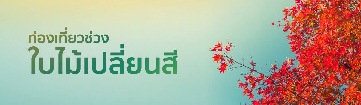 spring-china