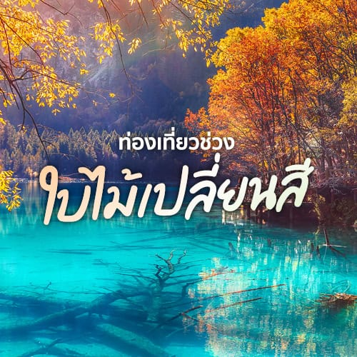 ท่องเที่ยวช่วงไม้เปลี่ยนสี