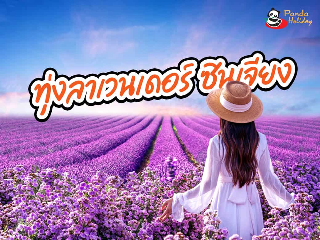อุทยานทะเลดอกไม้เทียนซาน หรือที่รู้จักกันในชื่อ ทุ่งลาเวนเดอร์ซินเจียงเหนือ!