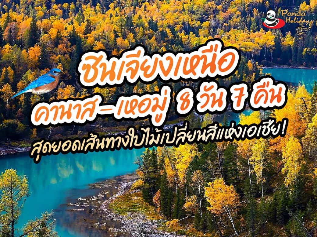 ทะเลสาบคานาสือ – เหอมู่ ซินเจียงเหนือ 8 วัน 7 คืน สุดยอดเส้นทางใบไม้เปลี่ยนสีแห่งเอเชีย!