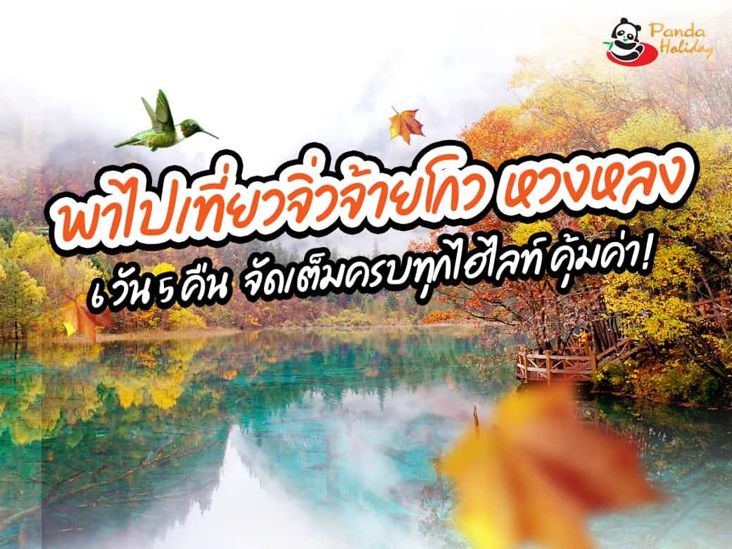 พาไปเที่ยวจิ่วจ้ายโกว หวงหลง 6 วัน 5 คืน จัดเต็มครบทุกไฮไลท์ คุ้มค่า!✨