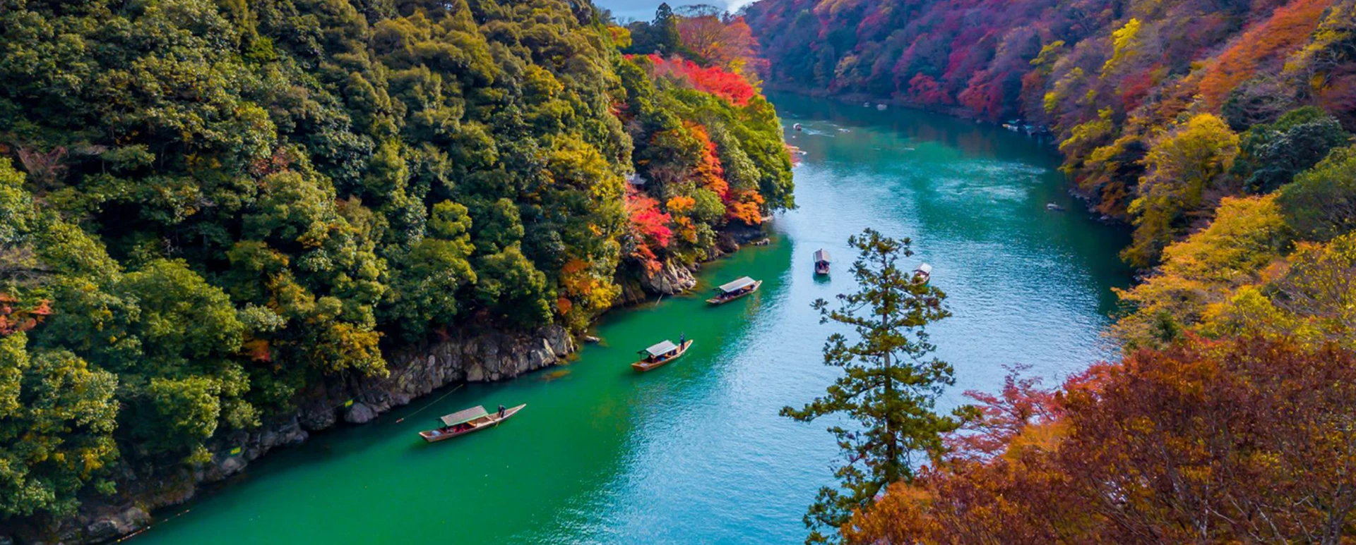 ทัวร์ช่วงใบไม้เปลี่ยนสีกับ Panda Holiday