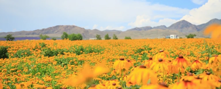 ทัวร์จีนประจำเดือนมิถุนายน