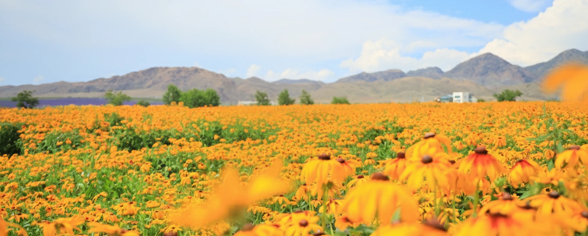 ทัวร์จีนประจำเดือนมิถุนายน