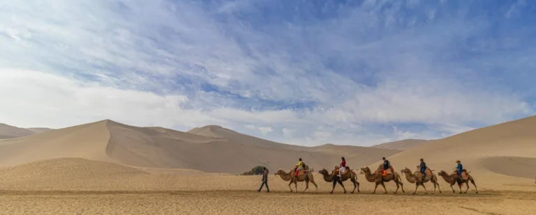 ทัวร์จีนประจำเดือนพฤษภาคม