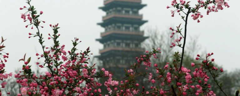 ทัวร์เทศกาลดอกไม้บานและสงกรานต์กับ Panda Holiday